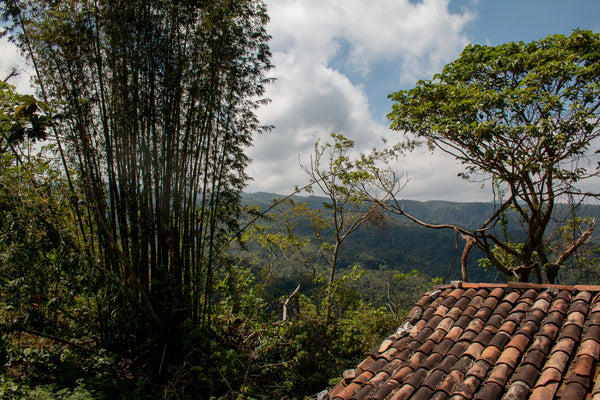 Jonote Weavers - Cuetzalan