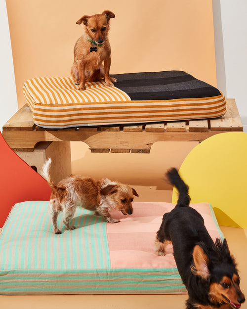 MINNA ethically handwoven sustainable cotton dog beds with three small dogs playing
