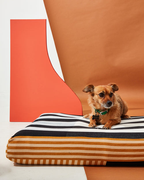 Soba the dog on an ethically handwoven cotton MINNA dog bed with black and white stripes, stylish dog bed