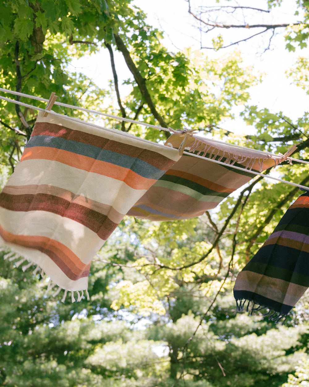 Fruit Stripe Hand Towel - Grapefruit